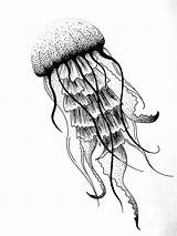 Jellyfish Drawing Sketch Tattoo Simple Fish Jelly Dessin Drawings Easy Sketches Box Kids Draw Méduse Geometric Tattoos Dotwork Jules Verne sketch template