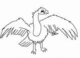 Coloring Vulture Library Clipart Pelican Popular sketch template