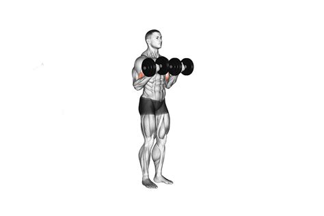 The Best Workout For Bigger Stronger Biceps
