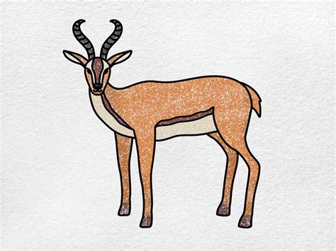 draw  cute antelope step  step animal illustration tutorial
