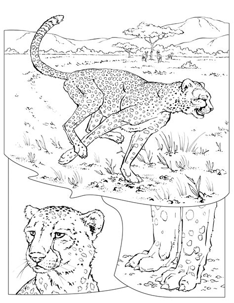land animal coloring pages hd coloring pages printable