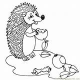 Hedgehogs Hedgehog sketch template