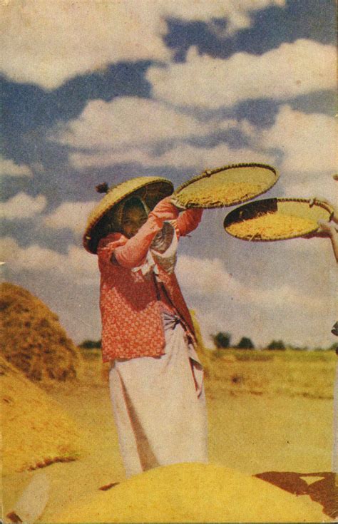 Native Women Winnowing Rice Luzon Philippine Luzon Is