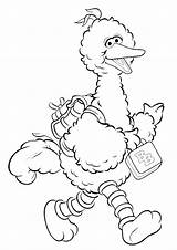 Bird Big Coloring Pages Printable Baby Books Categories Similar sketch template
