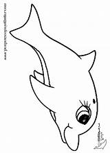 Coloring Dolphin Pages Baby Zoo Animal sketch template