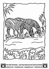 Prairie Zebras Grasslands sketch template