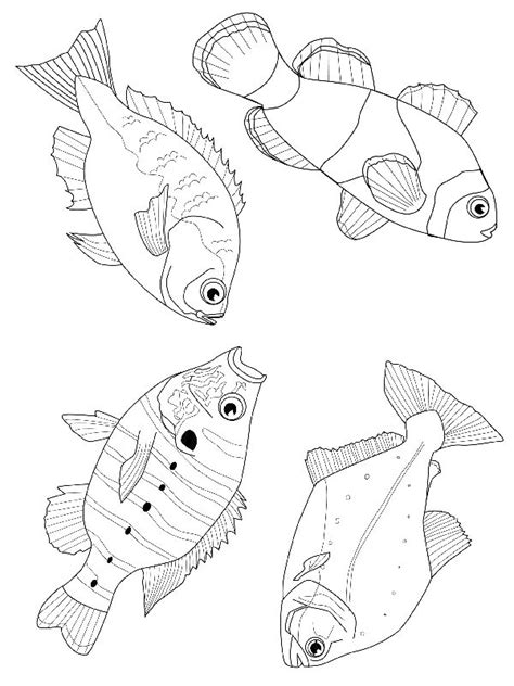 images  fish coloring templates  pinterest coloring