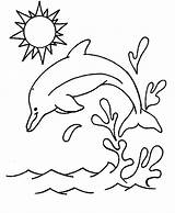 Coloring Dolphin Winter Pages Popular sketch template