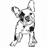 Bulldog French Coloring Terrier Pages Dog Silhouette Bull Drawing Boston Yorkshire Para Frances Dibujo Clipart Easy Designs Stencils Perro Perros sketch template