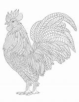 Coloring Pages Farm Animal Mandala Rooster Printable Adults Roosters Chicken Choose Board Sheets Chickens sketch template