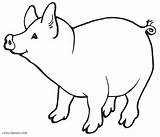Pig Coloring Pages Pigs Simple Cute Drawing Printable Kids Color Colouring Flying Cool2bkids Face Getdrawings Cartoon Getcolorings Print Animals Peppa sketch template