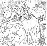 Rainforest Amazonia Selva Giungla Coloring4free Animali Designlooter Floresta Getdrawings sketch template