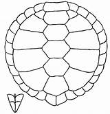 Turtle Pattern Shell Turtles Clipartbest sketch template