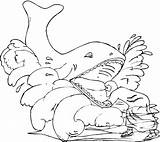 Coloring Whale Pages Killer Kids Printable sketch template