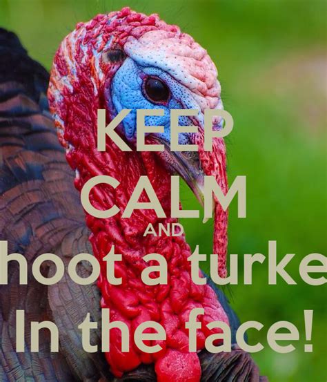 keep calm and shoot a turkey in the face keep calm and carry on