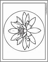Lily Coloring Pages Water Pad Stargazer Pencil Printables Circle Template Color Printable Getcolorings sketch template