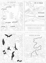 Dover Publications Welcome Boost Rainforest Craft Sites Doverpublications sketch template