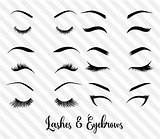 Vector Eyebrow Eye Clipart Lashes Getdrawings sketch template