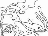 Dolphins Swims Detailed Coloringpagesonly Bestcoloringpagesforkids Worksheets Homecolor sketch template