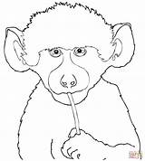 Baboon Baby Cute Coloring Pages Baboons Printable Rhino Ugly Animals Drawing Olive Elephant Age Supercoloring Categories sketch template