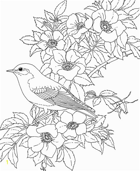 realistic flower coloring pages divyajanan