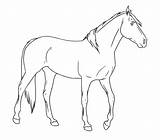 Horse Coloring Pages Palomino Realistic Paint Markers Crayons Watercolors Pencils Chose Colored Color Coloringtop sketch template