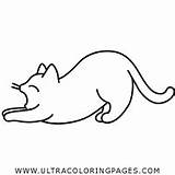 Yawn Yawning Feline Iconfinder Ultracoloringpages sketch template