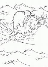 Bear Polar Coloring Little Pages Lars Lying Barrel Coloringpages1001 sketch template