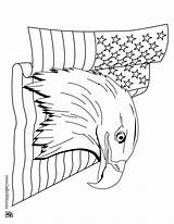 Flag Coloring Pages Eagle Bald American 4th Print July Color Z31 States United Printable Adult Kids Hellokids Trying Animals Most sketch template