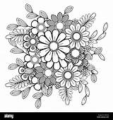 Coloring Flowers Pages Floral Flower Pattern Mandala Adult Line Adults Color Vector Simple Alamy Illustration Doodle Background These Make Stock sketch template