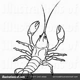 Crawfish Coloring Clipart Crawdad Illustration Pages Crayfish Lal Perera Royalty Getdrawings Rf Boil Getcolorings Color Printable sketch template