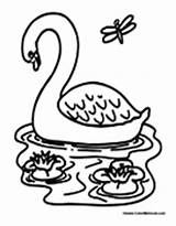 Swan Pond sketch template