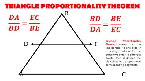 triangle proportionality theorem worksheet answer key