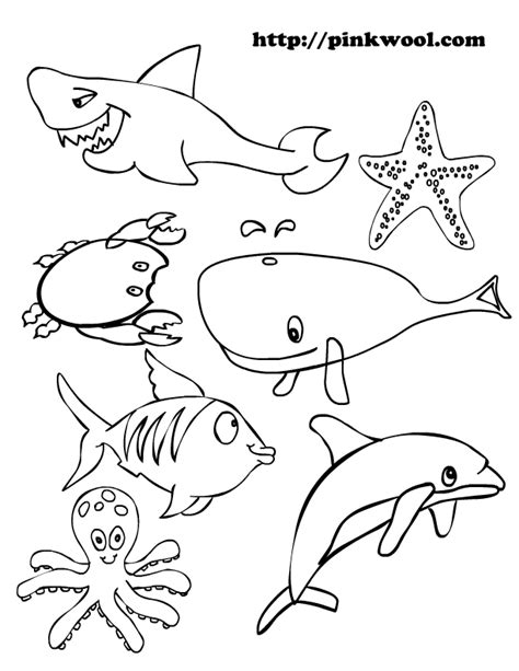 printable coloring pages ocean animals