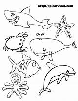 Coloring Shark Crab sketch template