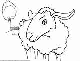 Coloring Sheep Lamb Kolorowanki Owce Lion Coloringhome Bestcoloringpagesforkids Pobierz Drukuj sketch template