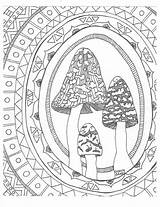 Coloring Pages Bob Marley Adult Toadstool Zentangle Drawing Colouring Getdrawings Toadstools Woodland Mushrooms Aztec Patterns Ross Mushroom Getcolorings Mandala Popular sketch template