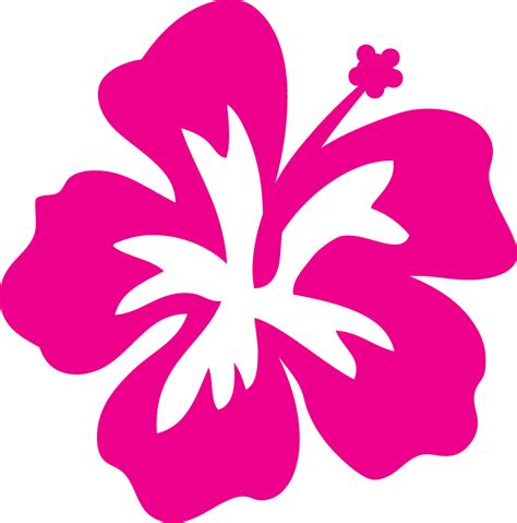 hibiscus outline clipart
