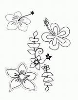 Coloring Pages Flower Tropical Hawaiian Plumeria Luau Flowers Printable Hawaii Themed Choose Print Color Colouring Comments Popular Coloringhome Drawing Getcolorings sketch template