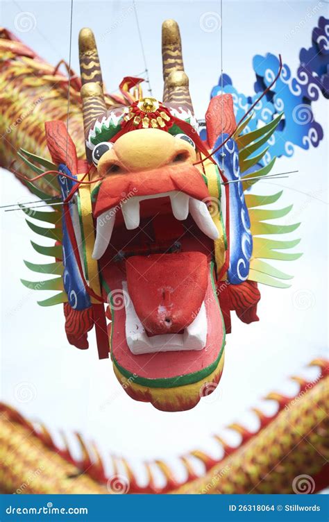 chinese  year dragon stock images image