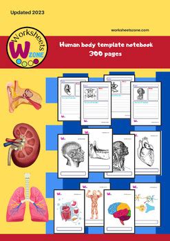 human body blank templates  projects  notebooks   teaching