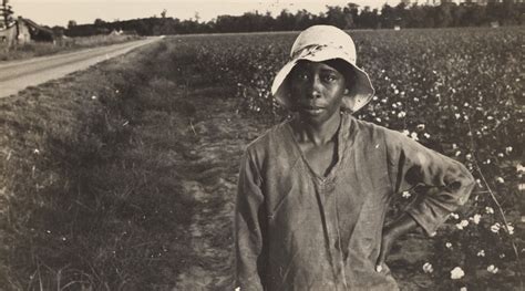 cotton picker pulaski county arkansas photo courtesy nypl