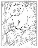 Kung Fu Pages Coloring Getcolorings Panda sketch template