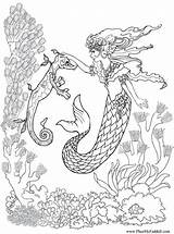 Seepferdchen Ausmalbilder Meerjungfrau sketch template