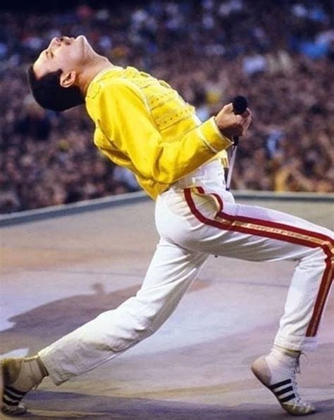 Pin By Queentertainment On Queen Freddie Mercury Queen