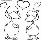 Coloring Pages Ducks Valentines sketch template