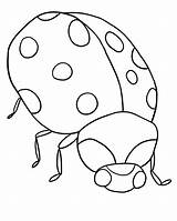Coloring Ladybug Pages Lb4 Bug Return Print sketch template