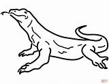Coloring Lizard Komodo Pages Monitor Cartoon Drawing Dragon Printable Color Kids Lizzard Baby Lizards Horned Realistic Drawings Toad Reptiles Getdrawings sketch template