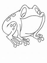 Bullfrog sketch template