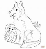 Coloring Puppy Pages Mother Dog Golden Retriever Printable Puppies Wolf Mom Lab Dogs Pups Clipart Color Cute Popular Her Coloringhome sketch template